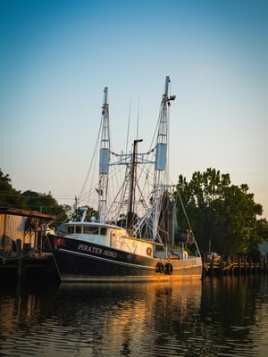 Rooted in Coastal Alabama
