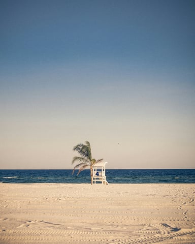 Lone lifeguard stand and palm tree on an empty Gulf Shores beach at dusk