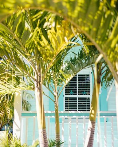 Turquoise beach cottage through palm fronds