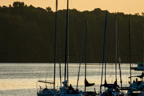 Sailboats silhouetted at golden hour on Joe Wheeler State Park marina, Alabama