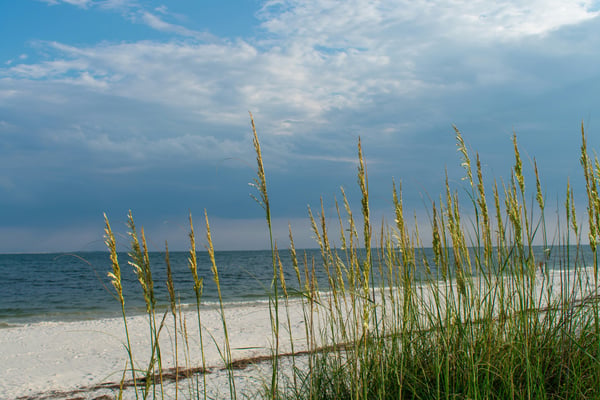 Sea oats and white sand dunes under a soft blue sky, Gulf Shores, Alabama