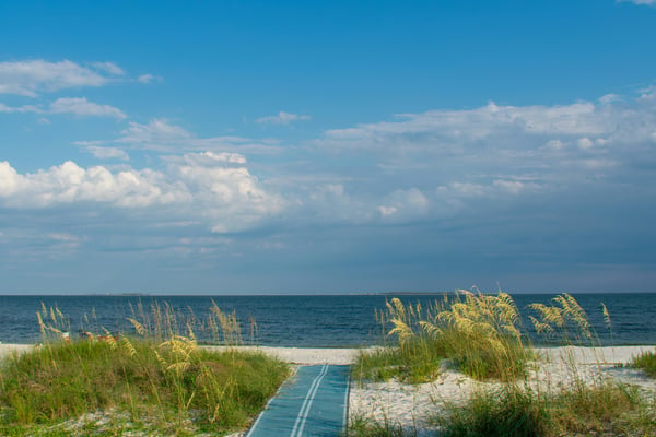 Wooden boardwalk leading through sea oats to the Gulf of Mexico, Gulf Shores, Alabama